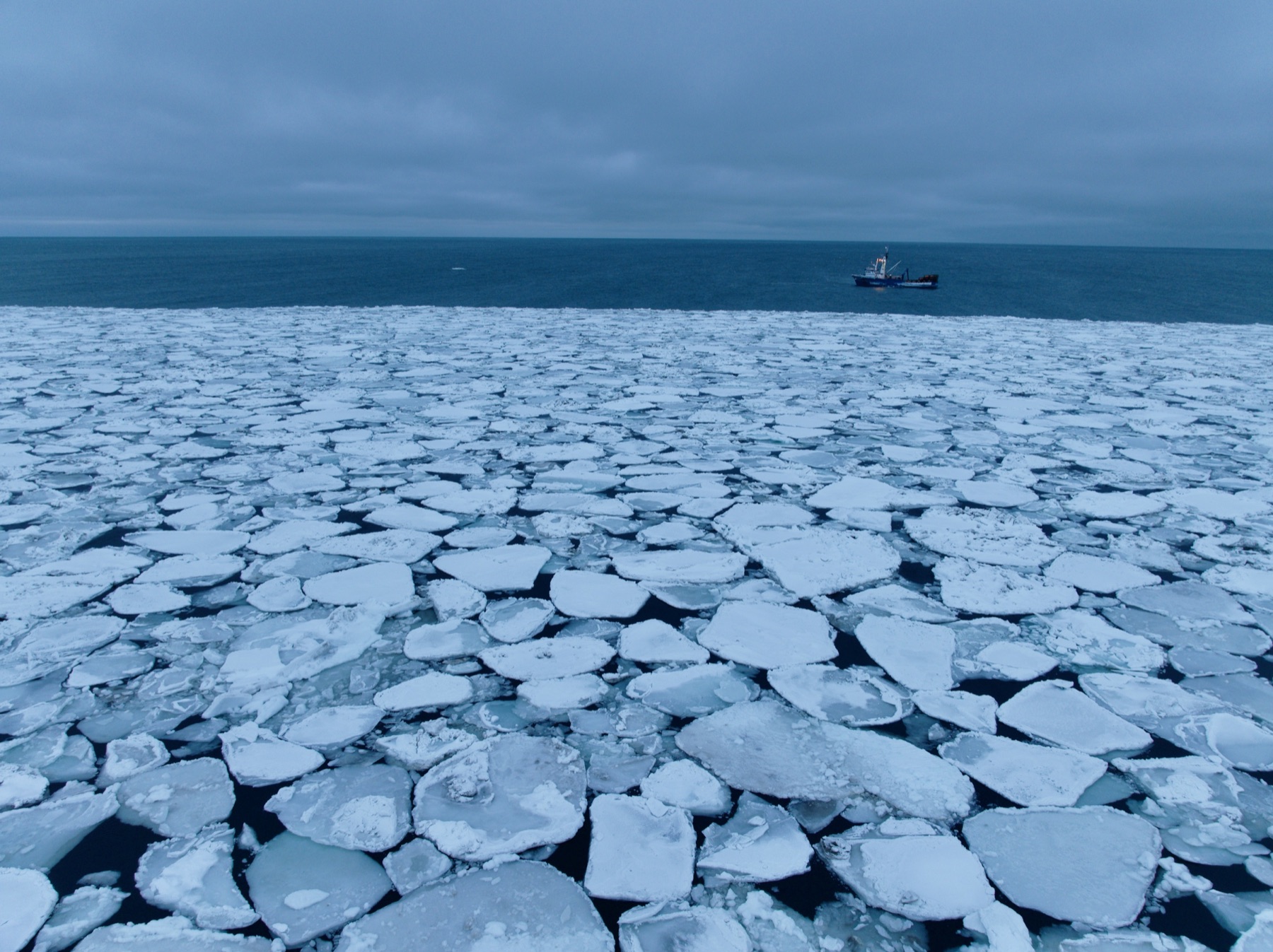 A fishing vessel beyond a vast field of broken sea ice