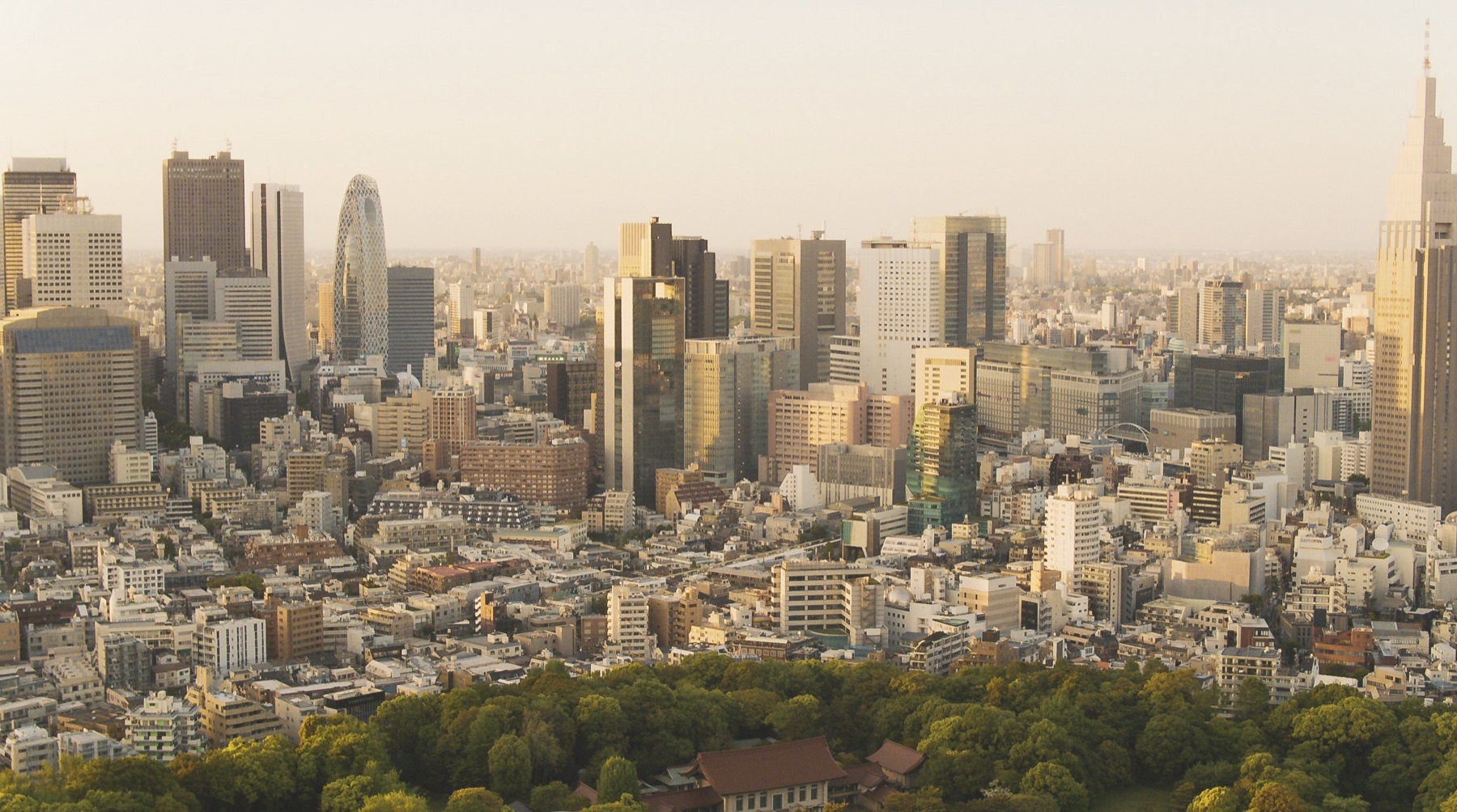 Tokyo skyline in warm evening light