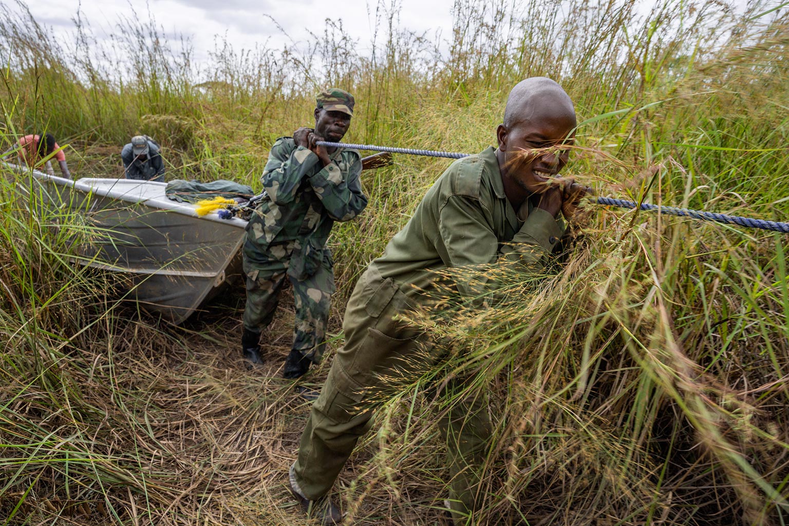 Rangers pulling equipment through tall grass during a field patrol
