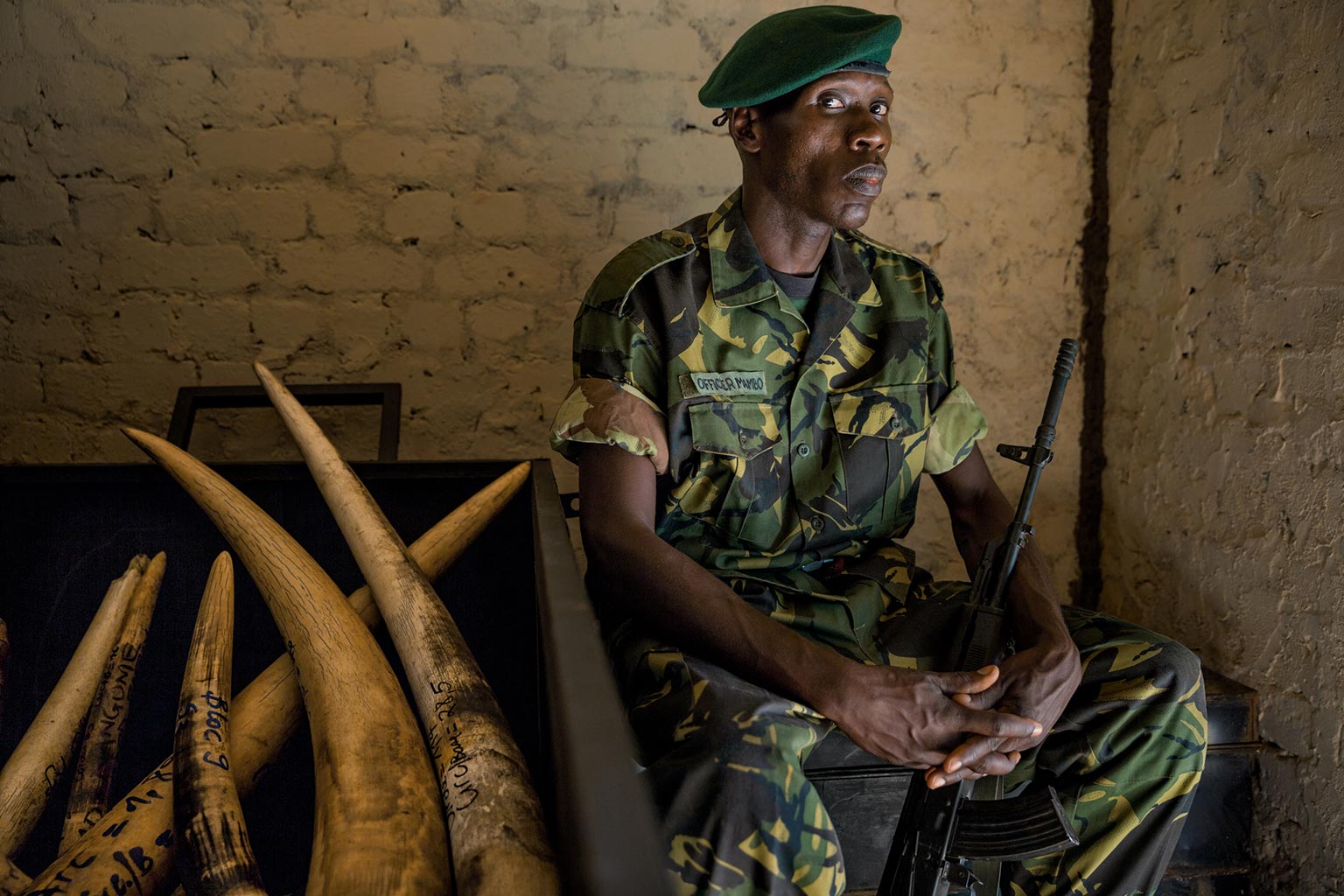 A Garamba ranger seated beside a cache of confiscated tusks
